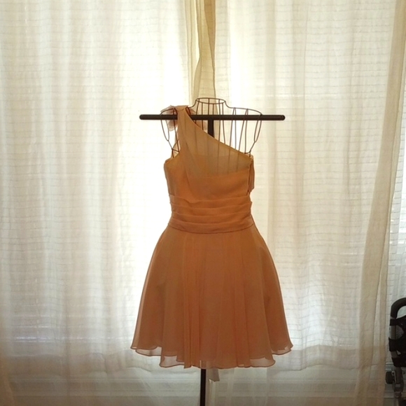 Bridesmaid Dress sz 12 - Picture 2 of 4